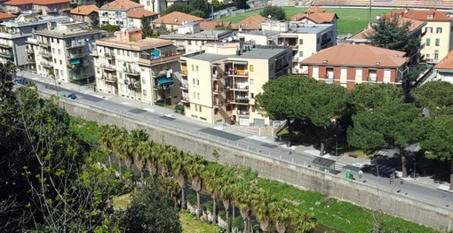 Verde a Finale, Gualberti: "L'amministrazione Frascherelli continua a piantumare pini pur conoscendo i problemi che causeranno"