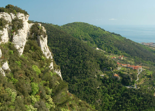 Verde Verzi, un giro in campagna