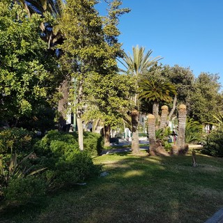 Verde pubblico a Finale. Per la minoranza &quot;manca una filosofia arborea&quot;. Guzzi: &quot;Un mito da sfatare&quot;