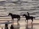 Paura per Belen Rodriguez, rovinosa caduta da cavallo sulla spiaggia Paura per Belen Rodriguez, rovinosa caduta da cavallo sulla spiaggia