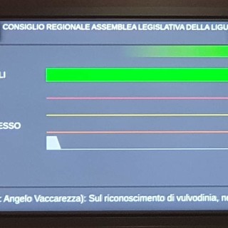 Vulvodinia, neuropatia del pudendo e fibromialgia malattie croniche e invalidanti: riconosciute in Consiglio Regionale Vulvodinia, neuropatia del pudendo e fibromialgia malattie croniche e invalidanti: riconosciute in Consiglio Regionale