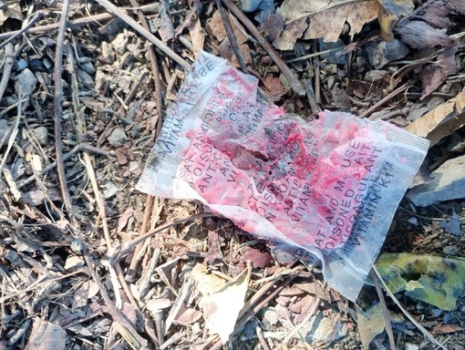 Alassio, trovato veleno per topi nell’area cani sopra Villa Fiske