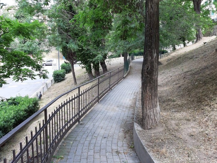 Cane a passeggio nell'area di via Mentana a Savona: finisce dal veterinario Cane a passeggio nell'area di via Mentana a Savona: finisce dal veterinario
