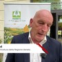 Tabacco, Bond (Regione Veneto): "Con accordo di filiera reddito e sicurezza agli agricoltori"