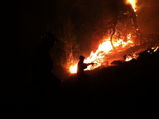Antincendio boschivo: al via la formazione specialistica in operatori di bonifica per volontari Aib e vigili del fuoco Antincendio boschivo: al via la formazione specialistica in operatori di bonifica per volontari Aib e vigili del fuoco