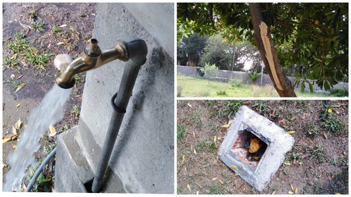 Savona, vandali in azione nella notte nel giardino del San Giacomo appena rinnovato Savona, vandali in azione nella notte nel giardino del San Giacomo appena rinnovato