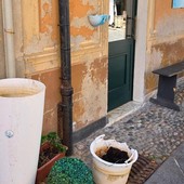 Albisola, vandali rompono il vaso di una pizzeria. Il titolare: &quot;Stanchi di subire danni economici e stress a causa dei soliti noti&quot;