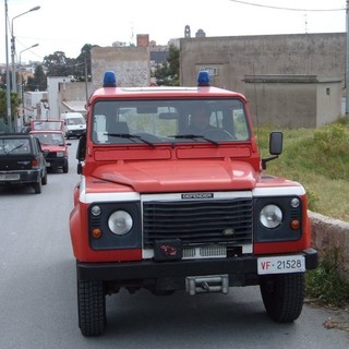 Cade palma in via Famagosta a Savona: rallentamenti al traffico