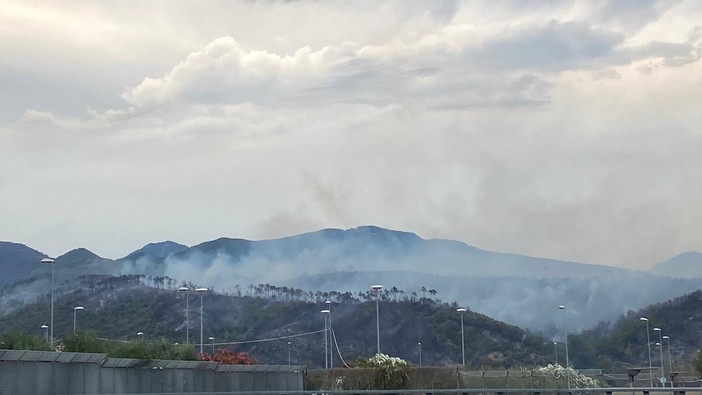 L'incendio nell'entroterra albenganese non si placa: evacuate alcune abitazioni, operative squadre di terra e aeree L'incendio nell'entroterra albenganese non si placa: evacuate alcune abitazioni, operative squadre di terra e aeree