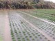 Agricoltura, più risorse e attenzione alle imprese colpite dall’alluvione Agricoltura, più risorse e attenzione alle imprese colpite dall’alluvione