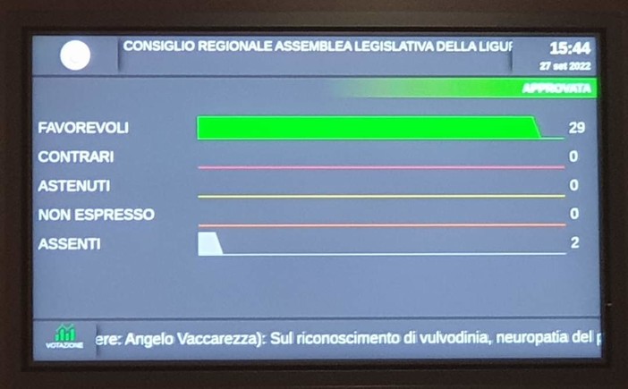 Vulvodinia, neuropatia del pudendo e fibromialgia malattie croniche e invalidanti: riconosciute in Consiglio Regionale Vulvodinia, neuropatia del pudendo e fibromialgia malattie croniche e invalidanti: riconosciute in Consiglio Regionale