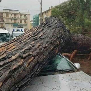 Nottata senza tregua per i vigili del fuoco in tutto il Savonese