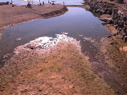 Moria di pesci nel torrente Varatella a Borghetto Santo Spirito: intervento dell'Enpa
