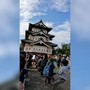 Giappone, tiro alla fune in 1800 per spostare un castello Giappone, tiro alla fune in 1800 per spostare un castello