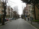 Viale Faraggiana ad Albissola Viale Faraggiana ad Albissola