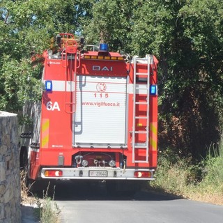 Vendone: incendio boschivo intervento dei vigili del fuoco