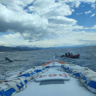 Velisti finiscono in acqua a largo di Celle Ligure: operazione di soccorso della Guardia Costiera di Savona Velisti finiscono in acqua a largo di Celle Ligure: operazione di soccorso della Guardia Costiera di Savona