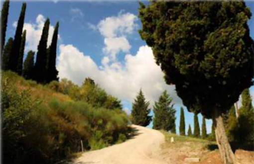 Via Francigena, anche Regione Liguria sottoscrive il protocollo per la candidatura a Patrimonio Unesco