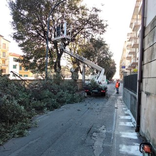 Finale intensifica i lavori sul verde cittadino