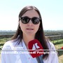 Energia: vicesindaca di Poviglio: "Impianto di Viridis importante per noi' Energia: vicesindaca di Poviglio: "Impianto di Viridis importante per noi'