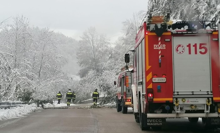 Neve in Val Bormida: circa 40 interventi dei vigili del fuoco (FOTO)