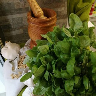 A Cairo arrivano le "vetrine al pesto"