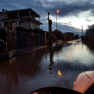 Albenga ed entroterra tra danni all'agricoltura e strade allagate (FOTO e VIDEO)