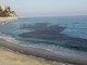 Spiagge blu e odore sgradevole: nel savonese riecco le velelle (FOTO)