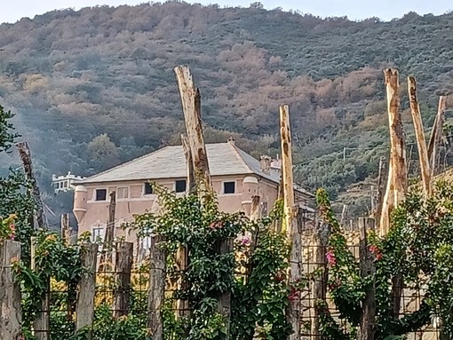 Albenga, villa Colombera cambierà destinazione: ok dal Comune per la trasformazione in agriturismo Albenga, villa Colombera cambierà destinazione: ok dal Comune per la trasformazione in agriturismo