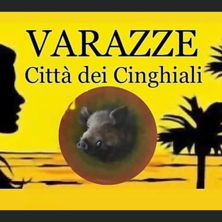 I cinghiali a spasso per la città diventano l'ironico simbolo di Varazze