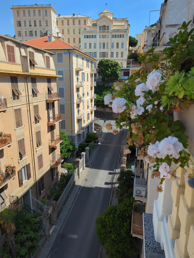 Porta a Porta a Savona, da via Poggi: "Perché devastare l'estetica ed il decoro di questo piccolo gioiellino con decine di mastelli in fila indiana?" Porta a Porta a Savona, da via Poggi: "Perché devastare l'estetica ed il decoro di questo piccolo gioiellino con decine di mastelli in fila indiana?"