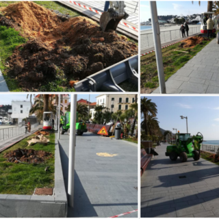 Varazze, al via i lavori sul lungomare per la riqualificazione del verde pubblico (FOTO e VIDEO)