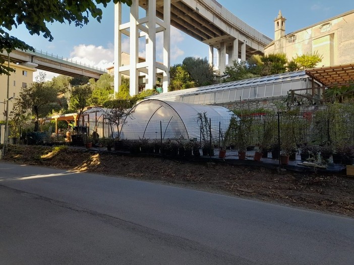Celle, i ladri colpiscono il vivaio "Il Giardino Fiorito"