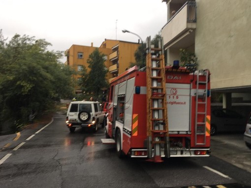 Quadri elettrici in fiamme, alberi crollati e cavi danneggiati: lavoro intenso per i vigili del fuoco Quadri elettrici in fiamme, alberi crollati e cavi danneggiati: lavoro intenso per i vigili del fuoco
