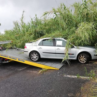 Albenga, polizia locale rimuove veicoli abbandonati (FOTO)