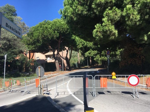 Savona, rami pericolanti in via Bresciana: chiusa la strada