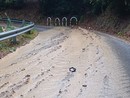 Savona, via alla Strà un fiume d'acqua, allagata la strada al Santuario per i tombini tappati Savona, via alla Strà un fiume d'acqua, allagata la strada al Santuario per i tombini tappati
