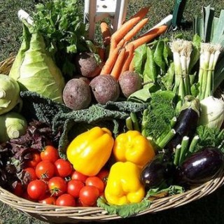 Quiliano, è rottura tra Condotta dello Slowfood e l'Associazione "Veganierranti"