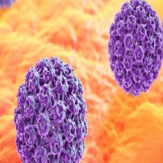 Vaccino anti-Papilloma Virus: EMA, l’Agenzia Europea Medicinali accusata di manipolazione dei dati