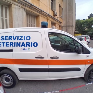 Riforma della sanità, la Federazione Veterinari e Medici proclama lo stato di agitazione: "Serve un confronto sulla riorganizzazione" Riforma della sanità, la Federazione Veterinari e Medici proclama lo stato di agitazione: "Serve un confronto sulla riorganizzazione"