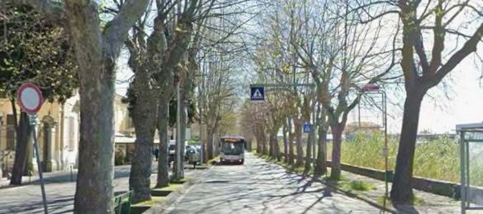 Abbattimento degli alberi in via Quiliano, dal 3 novembre senso unico alternato sulla Sp58