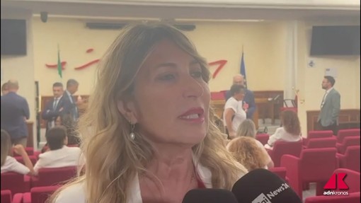 Una legge contro le 'botticelle' nelle strade: "Barbarie sui cavalli" Una legge contro le 'botticelle' nelle strade: "Barbarie sui cavalli"