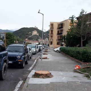 Il serpentone di auto in via Dante questa mattina, 29 ottobre