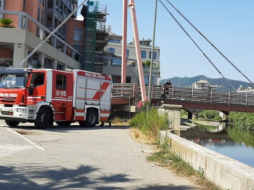 Savona, poca acqua nell'oasi faunistica del Letimbro: intervento dei vigili del fuoco