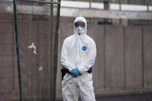 Hantavirus, l'esperta: "Più letale ma diverso da Covid, non si rischia nuova pandemia"