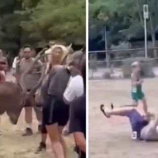 Prova a toccare un cervo e viene 'caricato': il video virale Prova a toccare un cervo e viene 'caricato': il video virale
