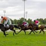 All'Ippodromo Snai San Siro un 2 Giugno di grande sport e intrattenimento All'Ippodromo Snai San Siro un 2 Giugno di grande sport e intrattenimento