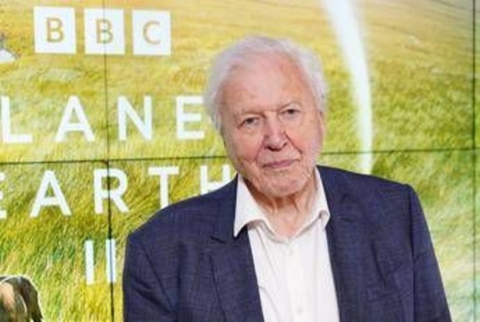 David Attenborough compie 100 anni e riceve un regalo speciale dal Museo di Storia Naturale