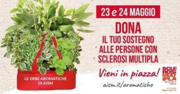 Settimana nazionale della sclerosi multipla, tornano le erbe aromatiche Aism in 500 piazze Settimana nazionale della sclerosi multipla, tornano le erbe aromatiche Aism in 500 piazze