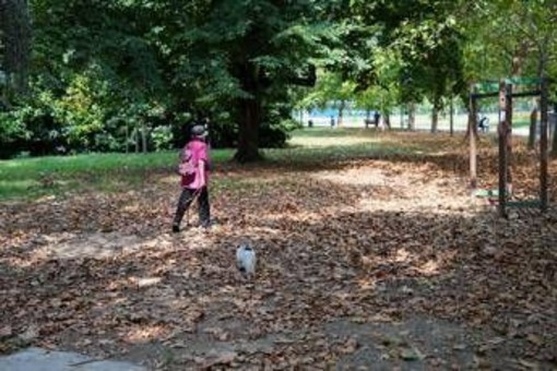 Meteo, torna il sole con l'Anticiclone delle Azzorre ma dura poco: domenica peggiora, le previsioni